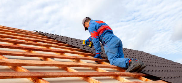 Best Roof Maintenance and Cleaning  in Temperance, MI